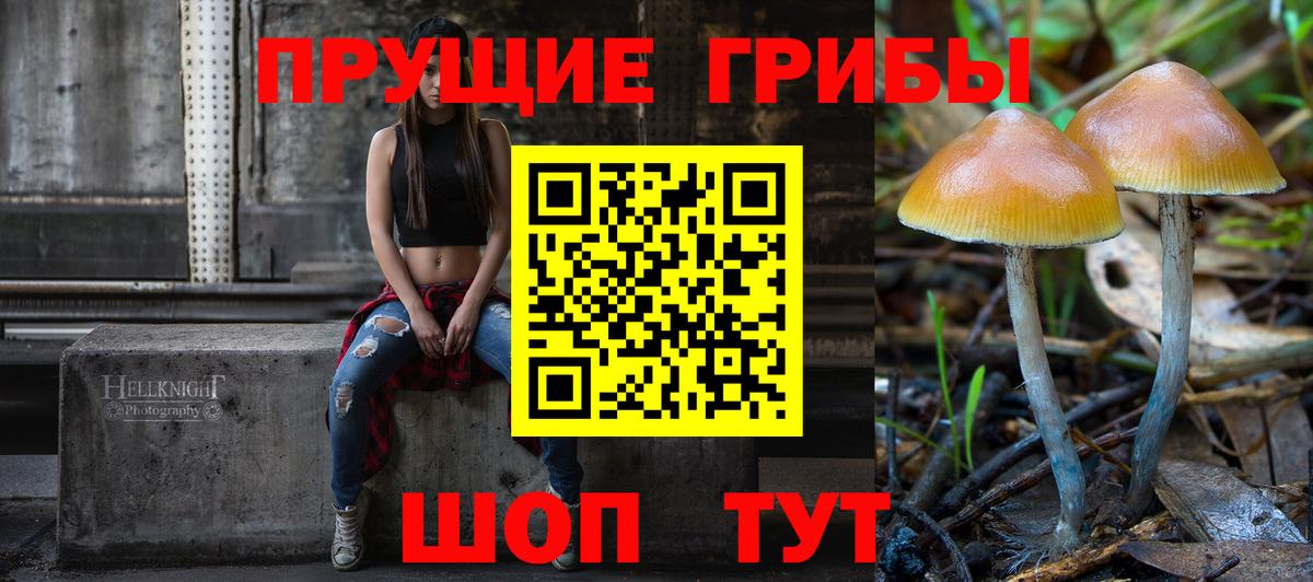 Галлюциногенные грибы Psilocybe  Псилоцибиновые грибы GOLDEN TEACHER  Вход с VPN  Люберцы 